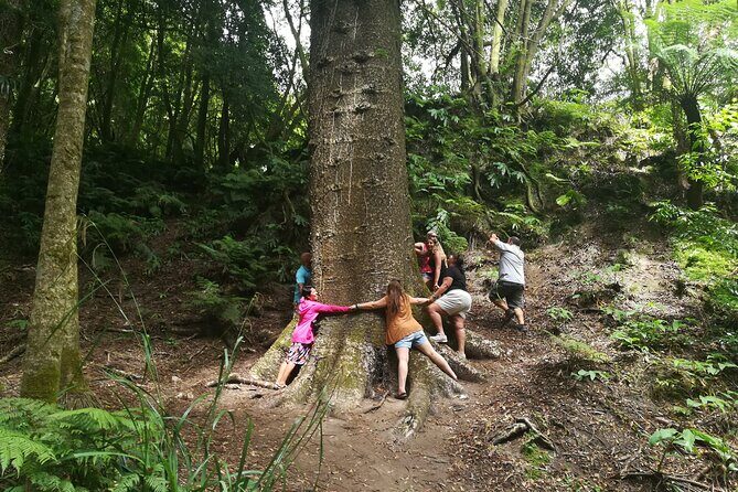 Full-Day Jeep Tour to Furnas - A Bit of Botanical Bliss: Parque Terra Nostra