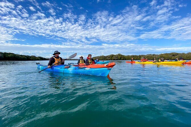 Full Day Kayaking Tour in Coorong National Park - Who Will Love This Tour?