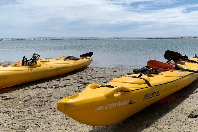 Full Day Kayaking Tour in Coorong National Park - Final Thoughts