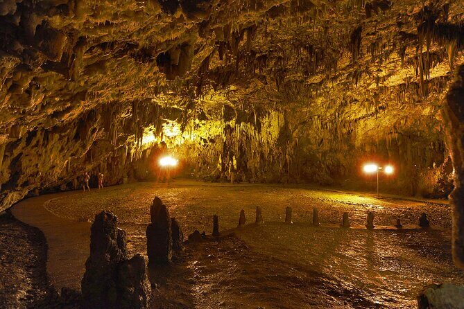 Full-Day Kefalonia Private Sightseeing Tour - FAQs about the Full-Day Kefalonia Private Sightseeing Tour