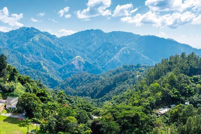 Full-Day Kingston and Blue Mountains Private Guided Tour - Exploring the Highlights of Kingston and the Blue Mountains