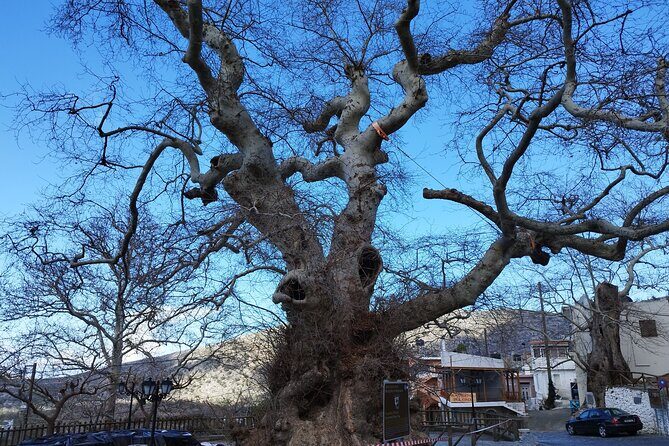 Full Day Knossos Palace Zeus Cave Lassithi Plateau from Elounda - The Legend of Zeus: Dikteon Cave