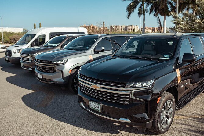 Full-Day La Paz Private Tour from Los Cabos - Key Points