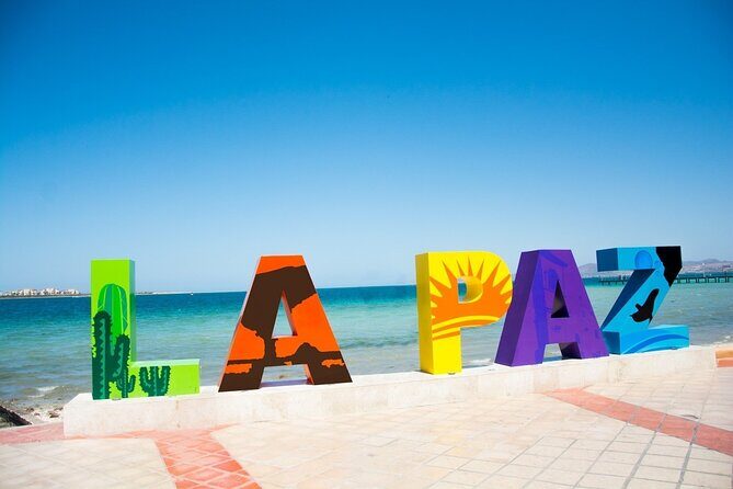 Full-Day La Paz Private Tour from Los Cabos - Set the Scene: What to Expect with This Tour