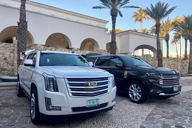 Full-Day La Paz Private Tour from Los Cabos - Who Should Consider This Tour?