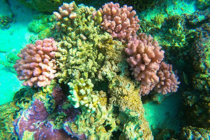 Full-day Lagoon Safari Tour with Lunch in Bora Bora - Shared tour - Final Thoughts