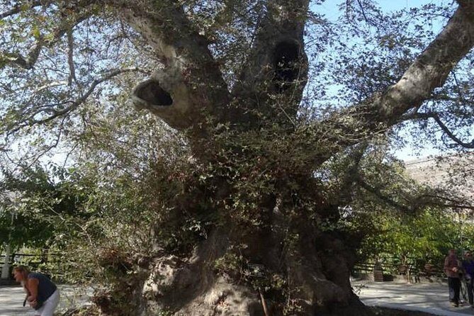 Full-Day Land Rover Safari from Heraklion with Lunch - FAQs