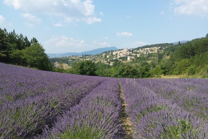 Full day lavender tour Luberon and Sault - The Itinerary Breakdown