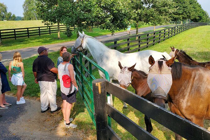 Full-Day Lexington Farm Tour with Clay Pigeon Shooting - Is It Worth the Price?