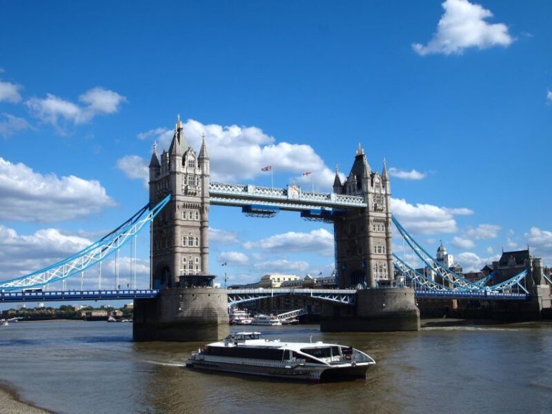 Full Day London Tour in a Private Vehicle with Admission - The Balance of Comfort, Flexibility, and Cost