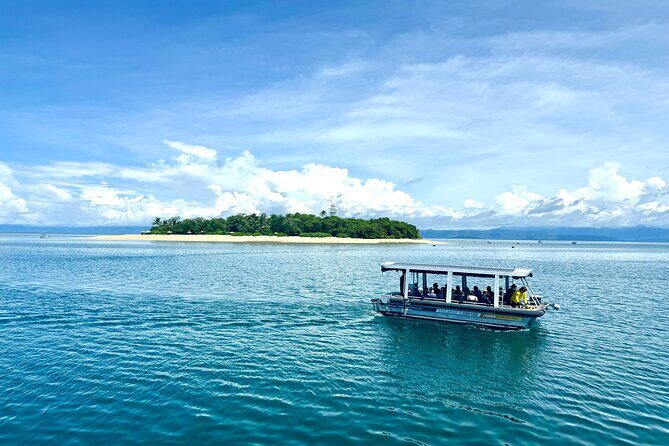 Full Day Low Isles Sailing & Snorkelling Cruise from Port Douglas - Who Is This Tour Best For?