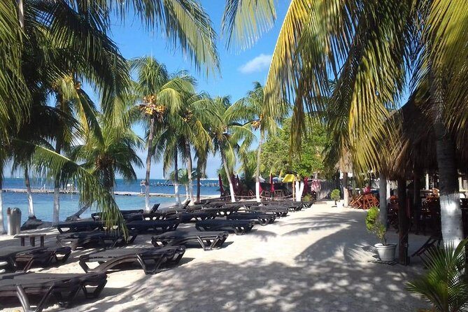 Full-Day Luxurious Catamaran Adventure - Cancún to Isla Mujeres - Lunch and Drinks