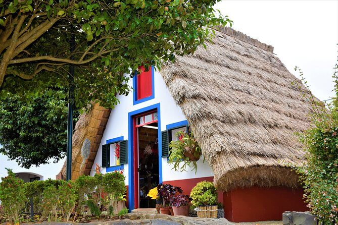 Full Day - Madeira East - What We Love About This Tour