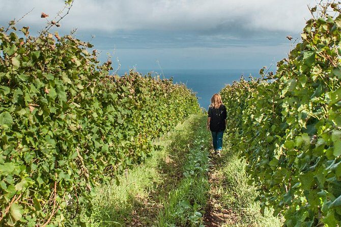 Full-Day Madeira Wine Tasting Tour with Lunch - Who Should Consider This Tour?