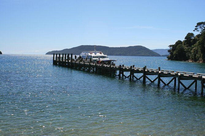 Full-Day Marlborough Catamaran Cruise with Wine Tour and Lunch - Key Points