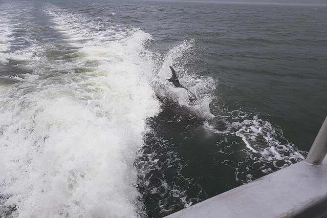 Full-Day Marlborough Catamaran Cruise with Wine Tour and Lunch - FAQ