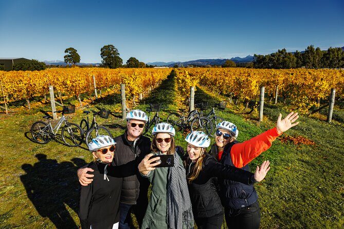Full-Day Marlborough Wine Region Bike Hire - The Experience and the Value