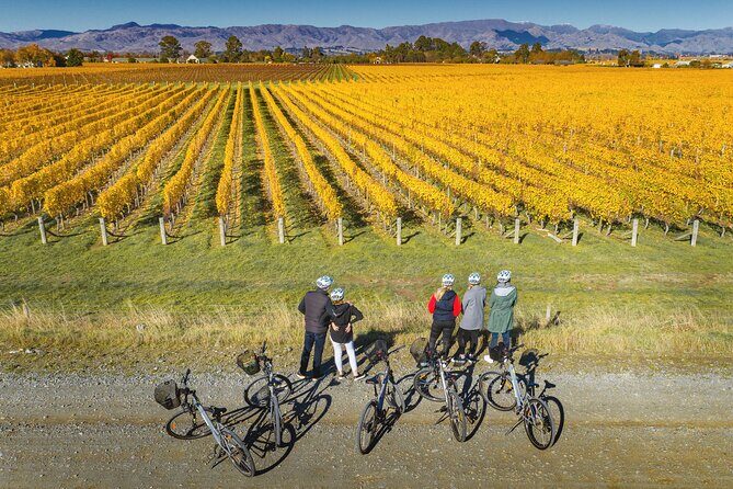 Full-Day Marlborough Wine Region Bike Hire - The Sum Up
