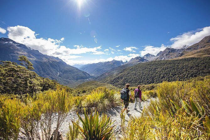 Full-Day Milford Sound Tour with Cruise and Walks from Te Anau - Who Is This Tour Best For?