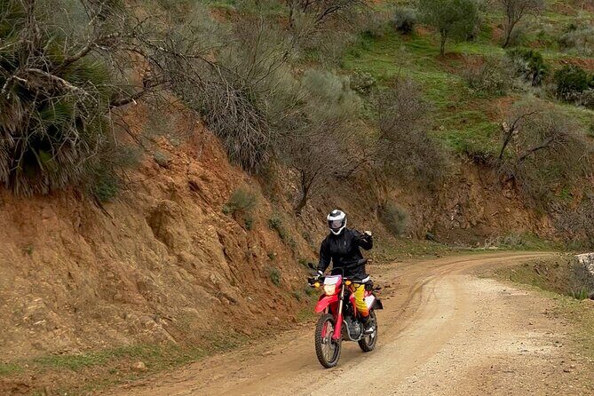 Full-Day Motorbike OFF ROAD Tour around Málaga - Ride Comfort and Experience