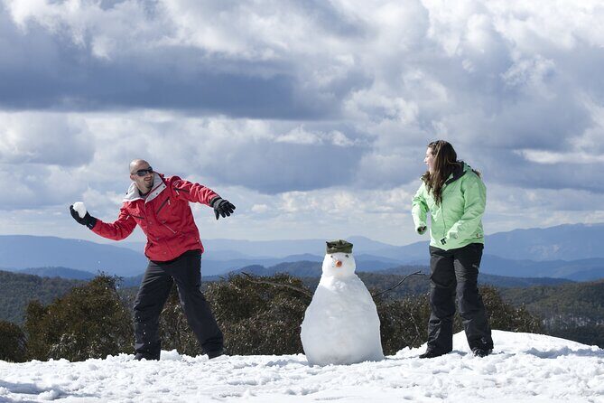 Full-Day Mount Buller Tour - Discovering the Full-Day Mount Buller Tour: An Honest Breakdown