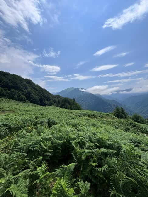 Full Day Mountine Tours from Batumi - Key Points