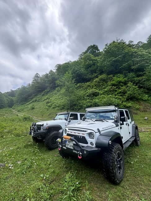 Full Day Mountine Tours from Batumi - Who Is This Tour Best For?