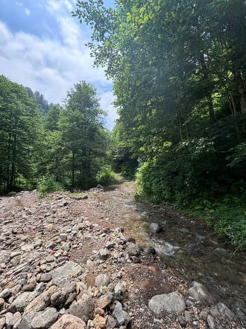 Full Day Mountine Tours from Batumi - The Sum Up