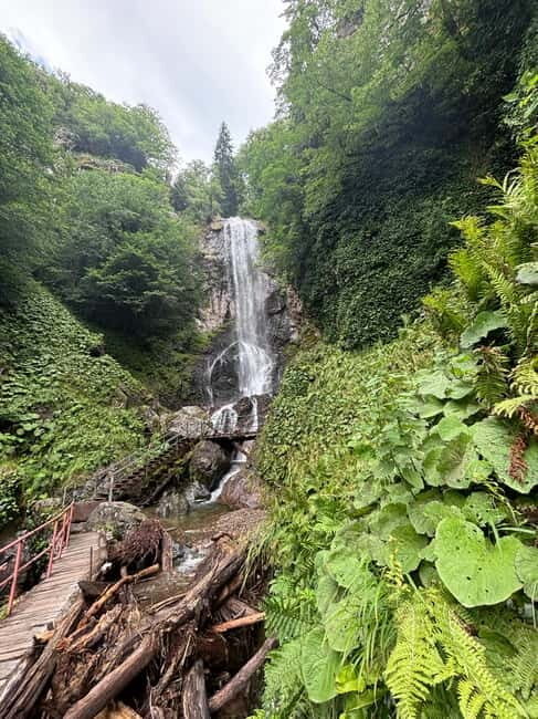 Full Day Mountine Tours from Batumi - FAQ