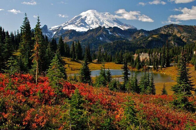 Full-Day Mt Rainier National Park Private Tour in SUV - Key Points