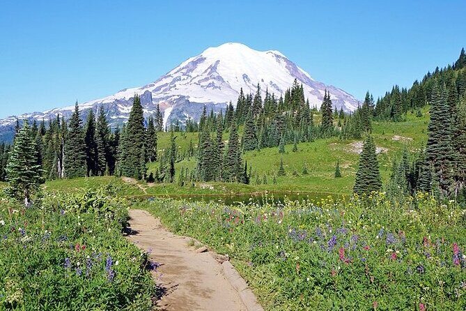 Full-Day Mt Rainier National Park Private Tour in SUV - What to Expect from This Full-Day Mt. Rainier Tour