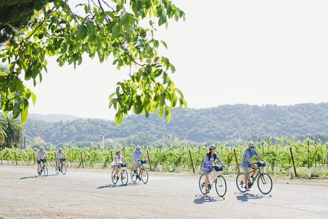 Full-Day Napa Valley E-Bike Tour with Picnic Lunch - Who Would I Recommend This Tour To?