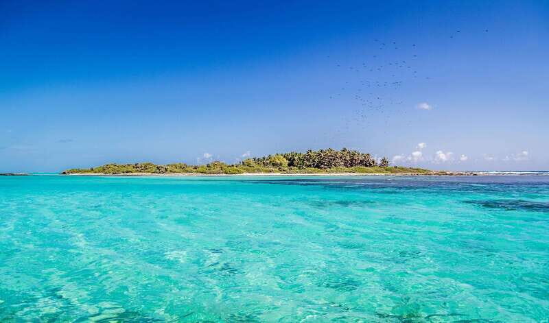 Full Day Nature Expedition to Contoy Island and Isla Mujeres - FAQs