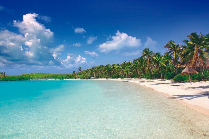 Full Day Nature Expedition to Contoy Island and Isla Mujeres - Practical Tips