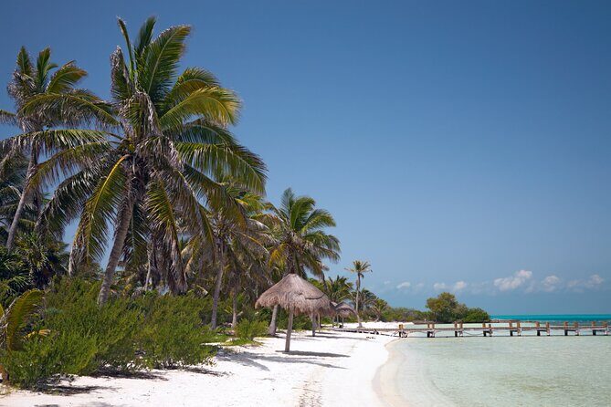 Full Day Nature Expedition to Contoy Island and Isla Mujeres - Who’s This Tour Best For?
