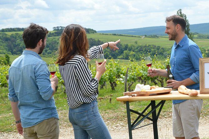 Full-Day North Burgundy and Chablis Wine Tasting Tour from Paris - What To Expect on This Burgundy and Chablis Wine Tour