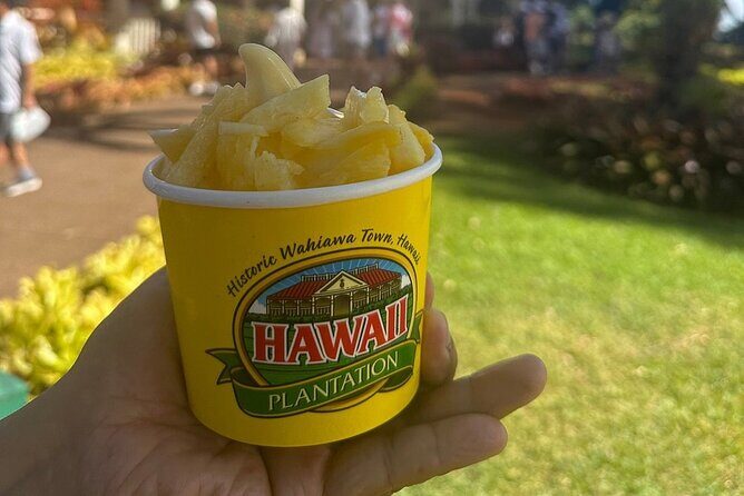 Full day Oahu´s North Shore Circle Island & Snorkeling w/ Turtles - FAQ