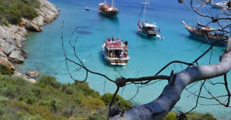 Full-Day Orak Island Boat Trip from Bodrum - An Honest Look at the Full-Day Bodrum Boat Experience
