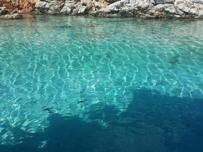 Full-Day Orak Island Boat Trip from Bodrum - Turkish tea and biscuits: the afternoon reset