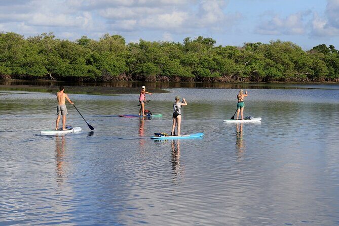 Full-Day Paddle Board Rental in Naples, Florida - Deep Dive: The Itinerary and Experience