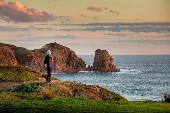 Full-Day Phillip Island Tour with Kangaroo, Koala and Penguin Parade - Pricing and Value