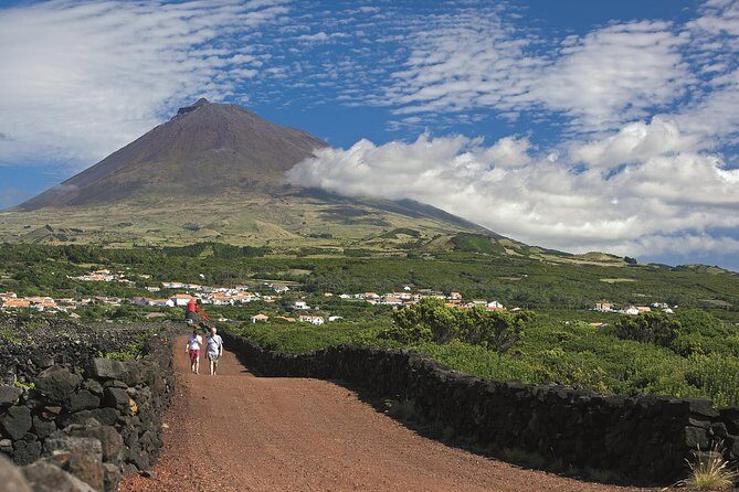 Full-Day Pico Island Tour from Horta - Exploring Pico Island in a Day: A Practical Guide to the Full-Day Tour from Horta