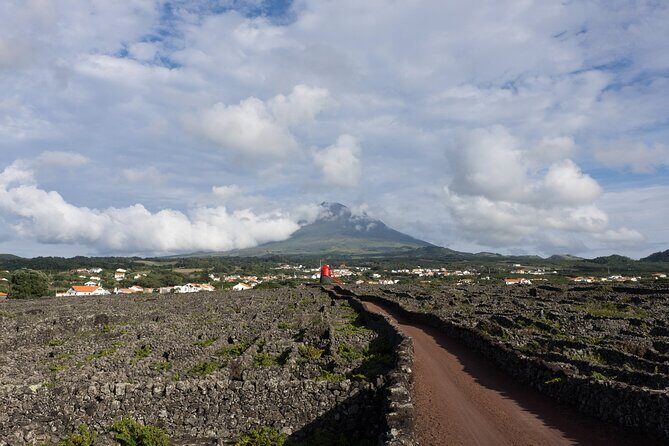 Full-Day Pico Island Tour from Horta - Key Points