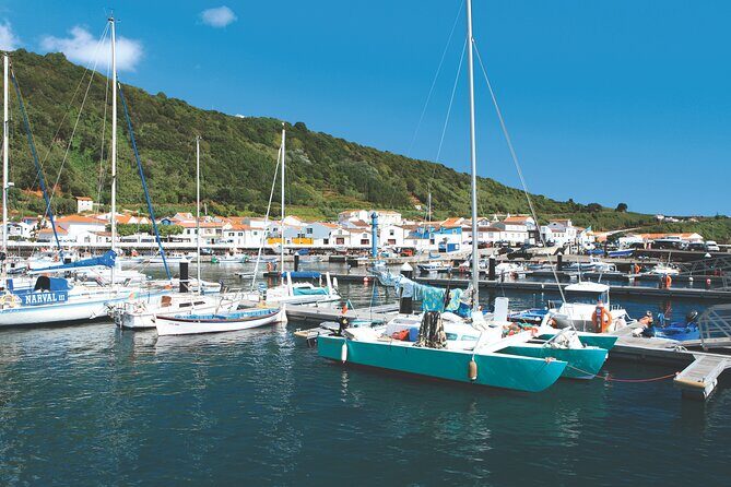 Full-Day Pico Island Tour from Horta - FAQ About the Full-Day Pico Island Tour from Horta