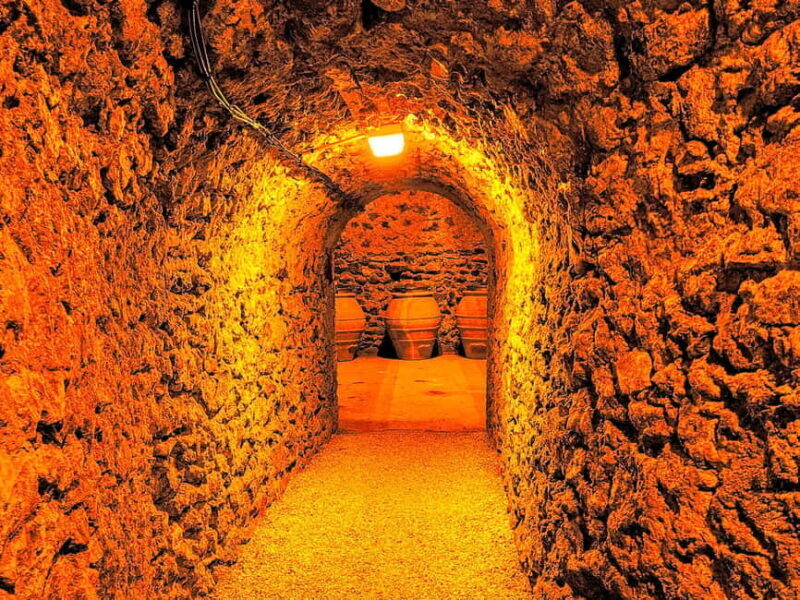 Full Day Pommery Small Group Tour - What Makes This Tour Stand Out