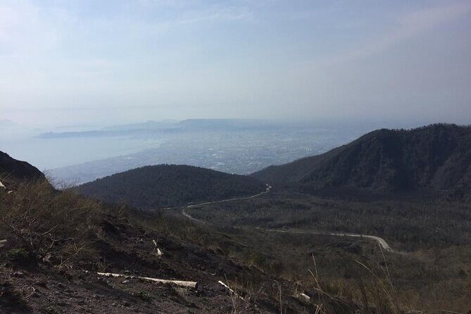 Full-Day Pompeii And Mt.Vesuvius Hike from Naples - FAQ
