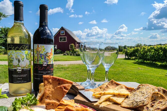 Full Day Pontiac Wine & Cider Tour - Day Trip From Ottawa & Gatineau - The Itinerary: What You’ll Experience