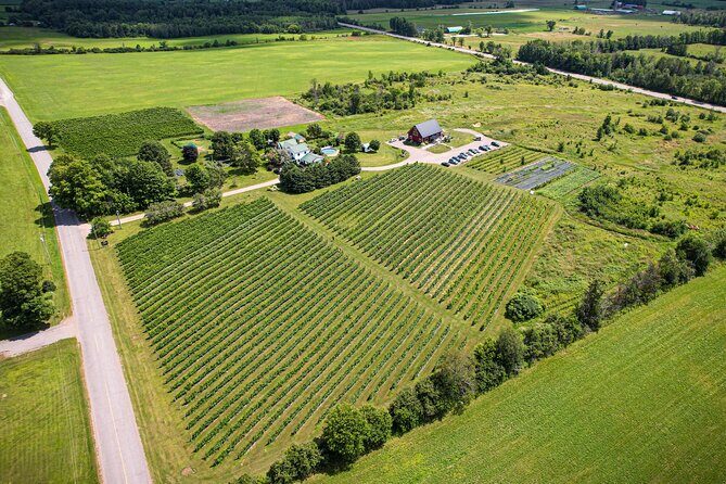 Full Day Pontiac Wine & Cider Tour - Day Trip From Ottawa & Gatineau - The Food and Tasting Experience