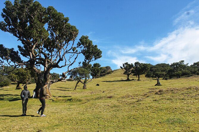 Full Day Private 4x4 Tour in West Madeira with Local Guide - What Travelers Say