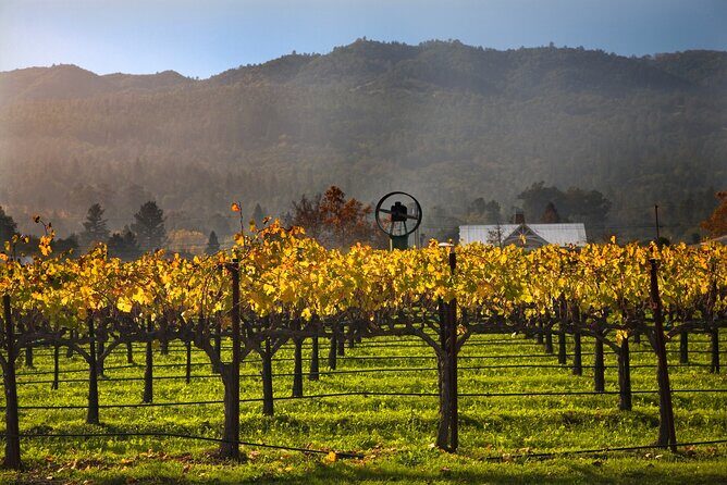 Full-Day Private Amador County Wine Tour from San Francisco - Who Should Consider This Tour?